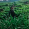 supriyatna_82