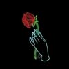 jana_5508