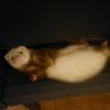 sleepinginseattle182