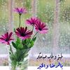 hazembanihassan0