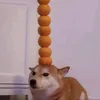 well_vorto
