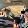 countryboychase0