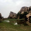 abubasilalqahtani