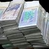 bachir334