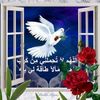 user02164073