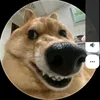baddaily.dib