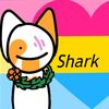 sharkthe_cat