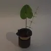 nhofirfir
