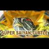 supersayianturtle