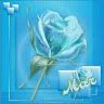 sinservicio26