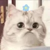 everydaywkhanh.ly