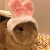 stefanylmpz