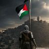 gulfamshah666