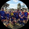 nrl_chris38273616