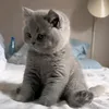 dang_thu28112212