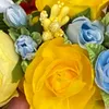 user1191921088558