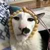caigivayme_2737