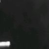 user125847736