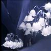 ..jellyfish7