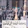hajihaseebullah