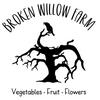 brokenwillowco