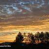 alaa_20017