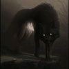 kashmiriwolf1