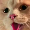 a_pretty_kaka