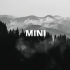 facelessmini
