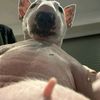anahiisalooksmaxer