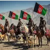 Afghan✅