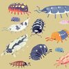 resident_isopod