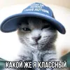 skydeedd