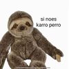rbenitozarate