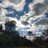 863_micaela
