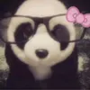 davy_https