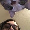 _thecatmeowsalot_cvv