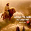 aia474jjzzfgs40589218472