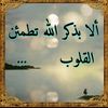 aminedankdich