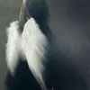 bug ★