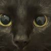 smolestcat
