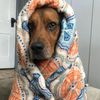 benson_and_bella97