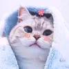 umme_17