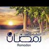 user550278425