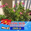phamvanlam13