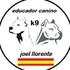 joel_llorente