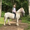 A Guy and His Horse