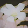 _qytr_