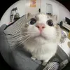 hmiat