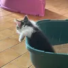 sabri.com09